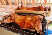 Bobby哥烤全羊 BBQ catering for parties