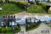 Hedge Landscaping & Lawn Mowing Service in South Auckland wide & Franklin