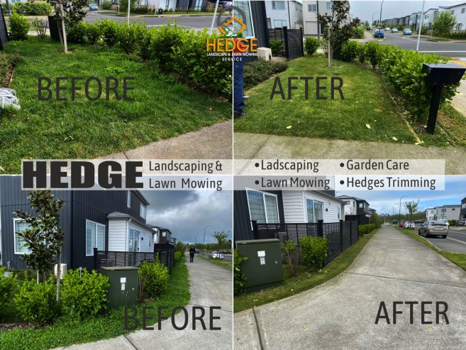 Hedge Landscaping & Lawn Mowing Service in South Auckland wide & Franklin