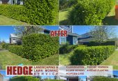 Hedge Landscaping & Lawn Mowing Service in South Auckland wide & Franklin