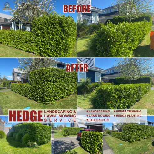 Hedge Landscaping & Lawn Mowing Service in South Auckland wide & Franklin