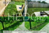 Hedge Landscaping & Lawn Mowing Service in South Auckland wide & Franklin