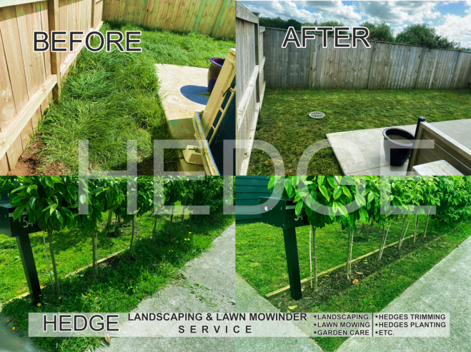 Hedge Landscaping & Lawn Mowing Service in South Auckland wide & Franklin