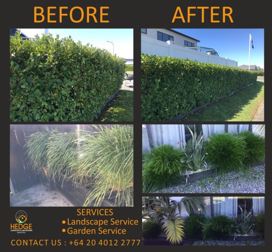 Hedge Landscaping & Lawn Mowing Service in South Auckland wide & Franklin