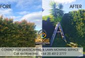 Hedge Landscaping & Lawn Mowing Service in South Auckland wide & Franklin