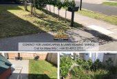 Hedge Landscaping & Lawn Mowing Service in South Auckland wide & Franklin