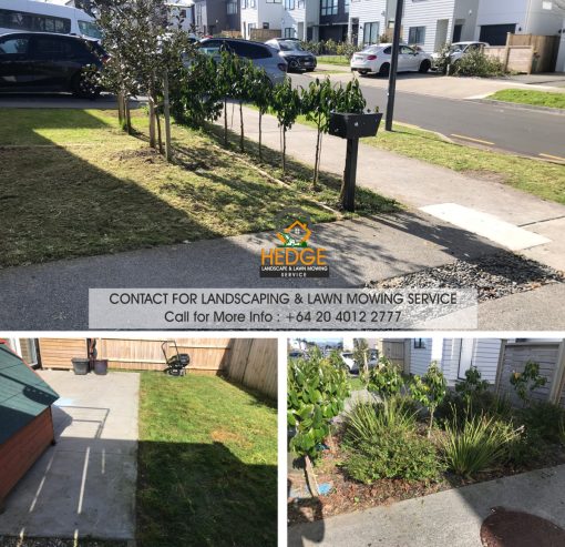 Hedge Landscaping & Lawn Mowing Service in South Auckland wide & Franklin