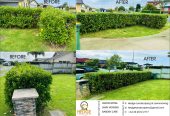 Hedge Landscaping & Lawn Mowing Service in South Auckland wide & Franklin