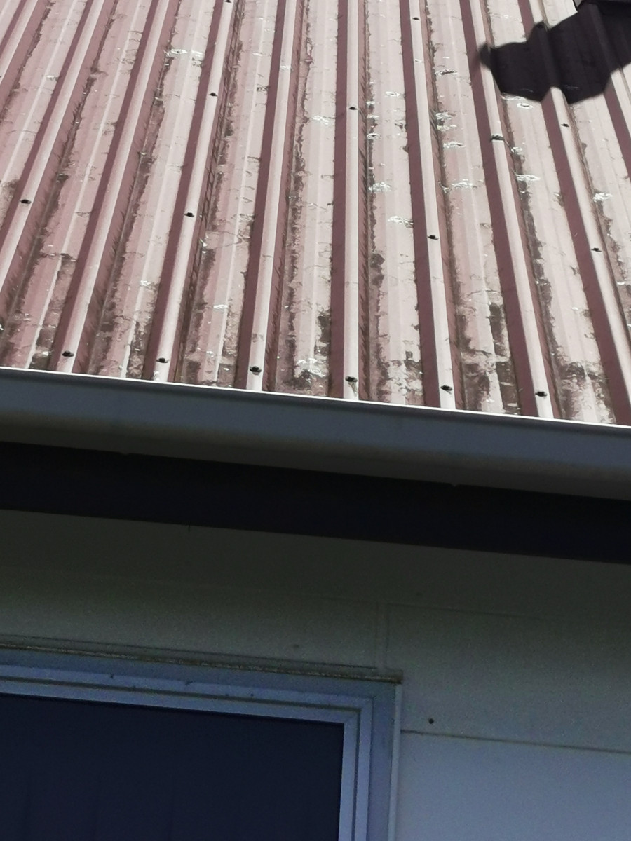屋顶喷漆和室内室外油漆 roofing& painting