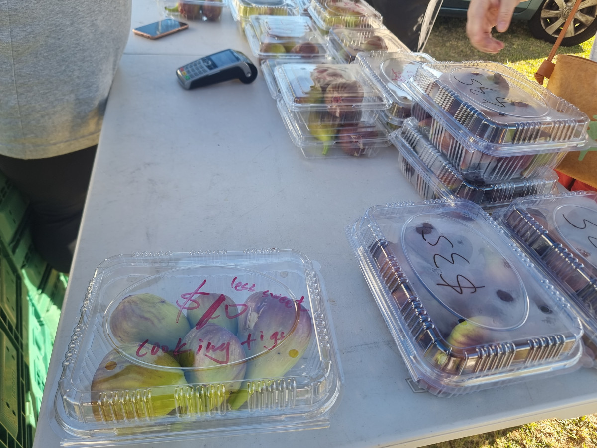 Figs for Sale