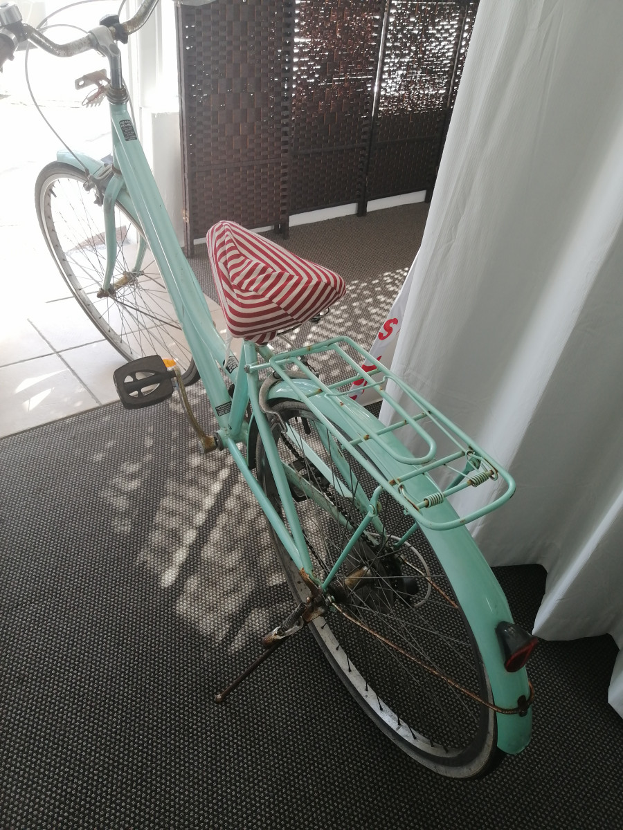 中国式自行车 bike