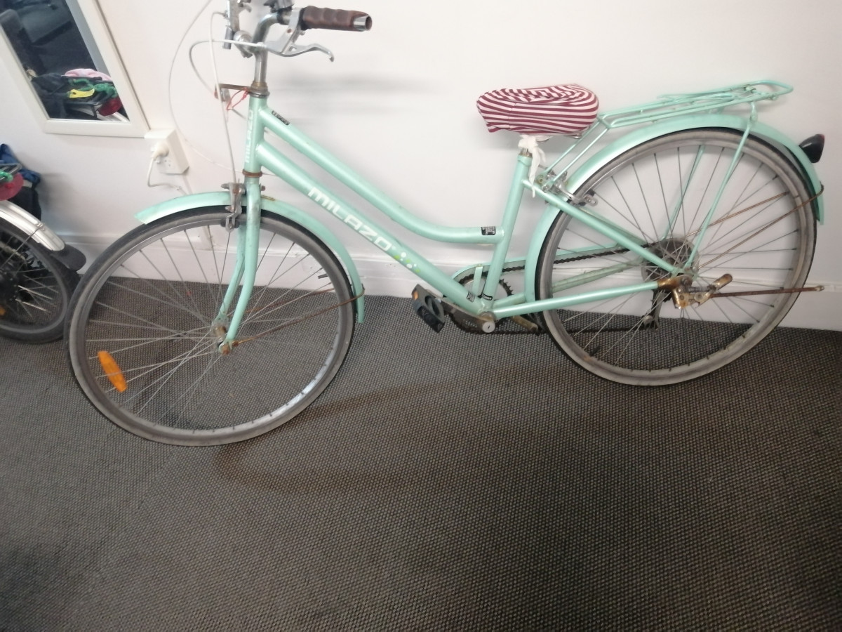 中国式自行车 bike
