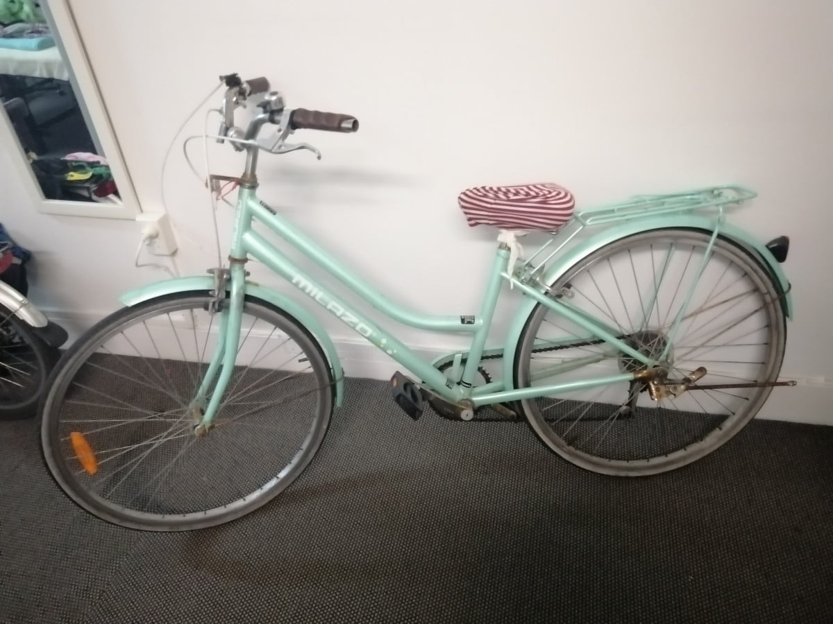 中国式自行车 bike