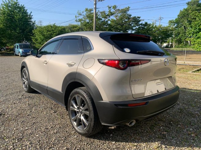 2022 MAZDA CX-30 5AA-DMFP