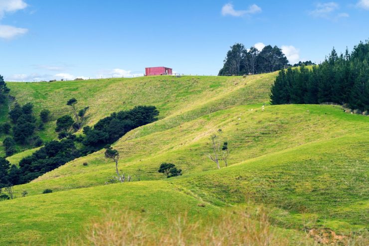 17 Rauta Way, Helensville, Auckland