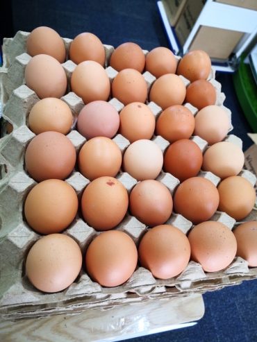 straight from the farm, Fresh free range eggs Size M, Tray 30 pack, $13.99, wechat 微信: andarnz