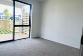 Urgent Sale,19 Auranga Drive, Karaka, Auckland