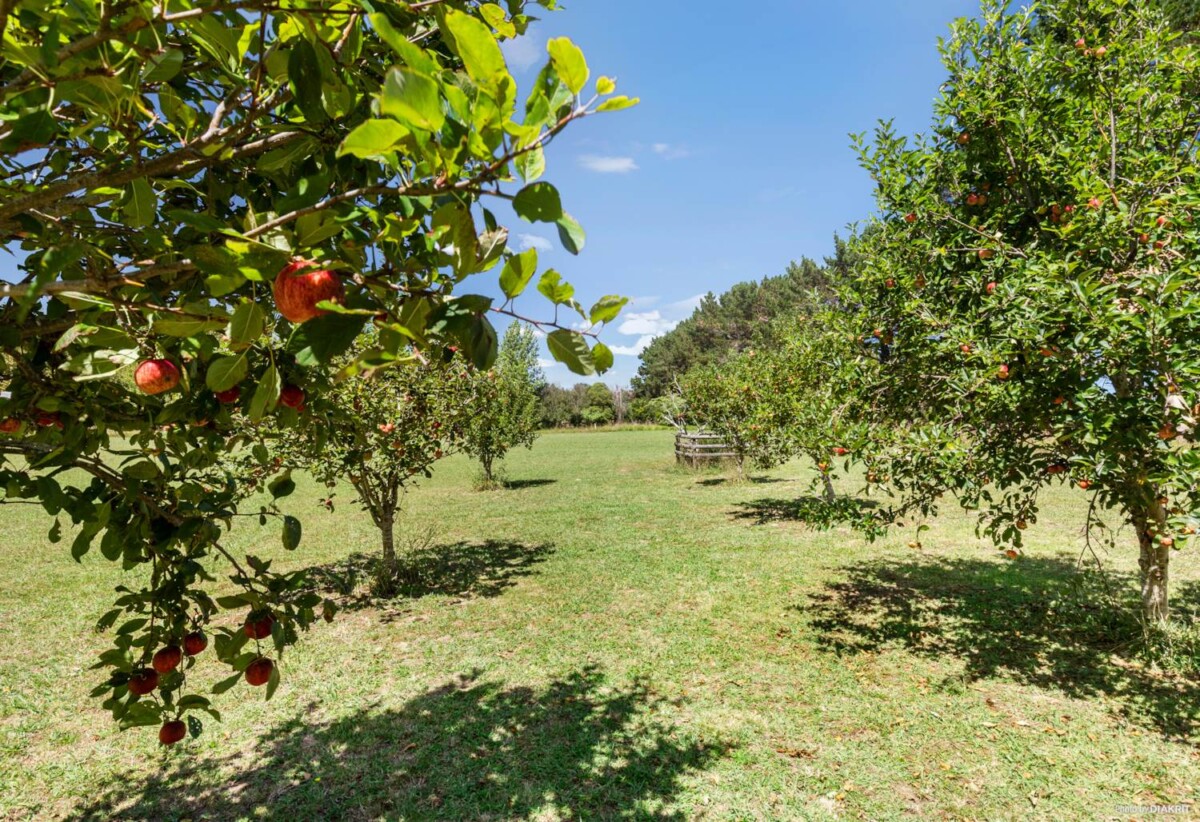 40 Farley Road, Clarks Beach, Auckland