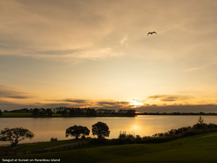 Lot 33/149A Capriana Drive Karaka, Auckland
