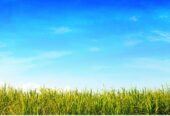 Lot 40 Putahi Crescent, Papakura, Auckland