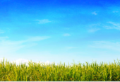 Lot 41 Putahi Crescent, Papakura, Auckland