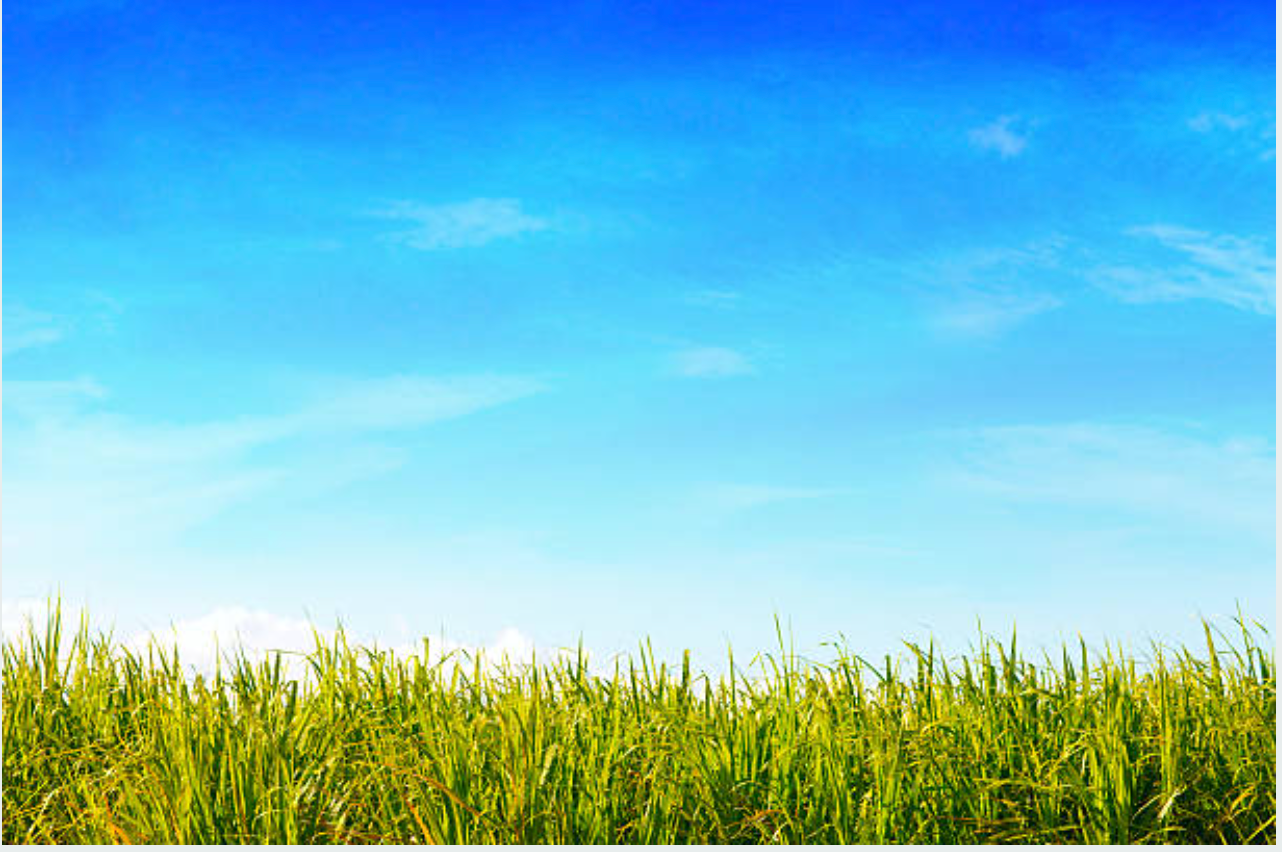 Lot 41 Putahi Crescent, Papakura, Auckland