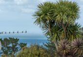 4/93 Donovan Street, Blockhouse Bay, Auckland