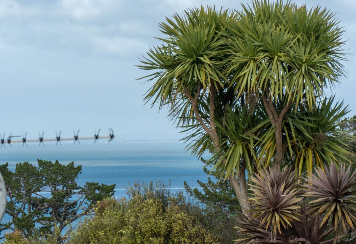 4/93 Donovan Street, Blockhouse Bay, Auckland