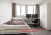 1408/138 Anzac Avenue, Auckland Central, Auckland