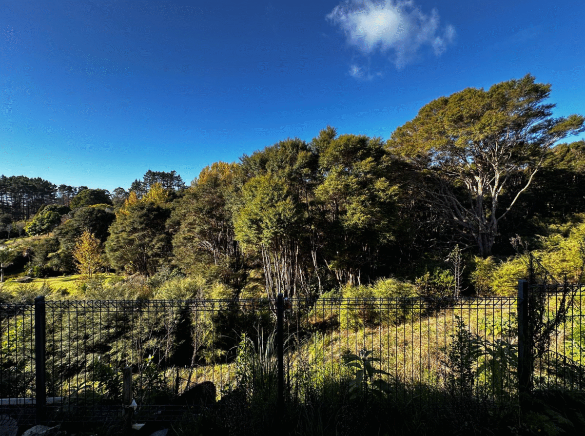 24A Poruru Close, Papakura, Auckland