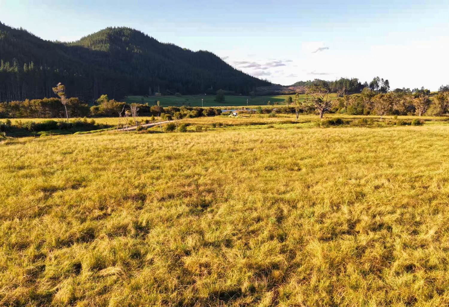 455 Hikuai Settlement Road, Hikuai, Coromandel