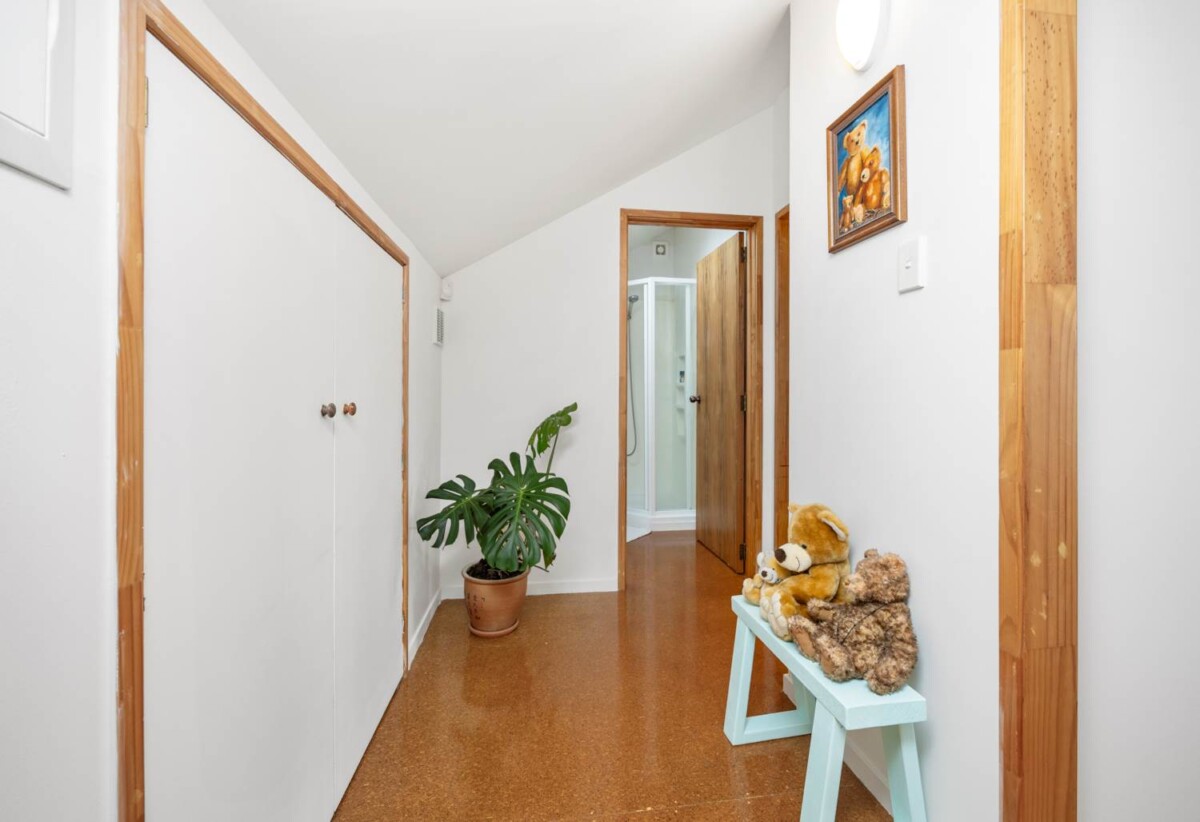 20 Rhodes Avenue, Mt Albert, Auckland