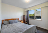 Don’t miss out! – 3 Carlyle Street, Tuatapere, Southland, Southland