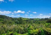 Spectacular Views, Absolute Privacy & Top Location, 133 O’Brien Road, Coatesville, Auckland