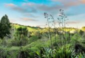 Spectacular Views, Absolute Privacy & Top Location, 133 O’Brien Road, Coatesville, Auckland