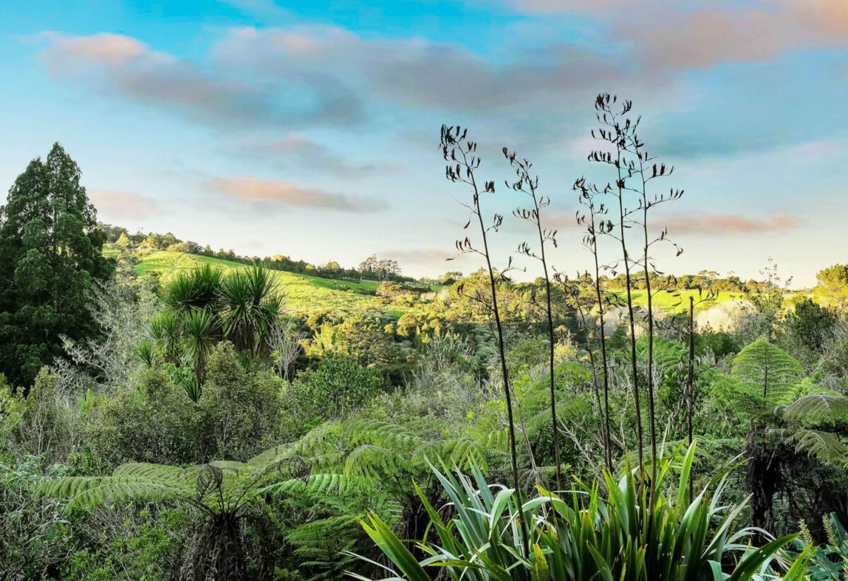 Spectacular Views, Absolute Privacy & Top Location, 133 O’Brien Road, Coatesville, Auckland