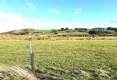 Omaui’s Hidden Gem – 61 Clark Road, Omaui, Invercargill, Southland