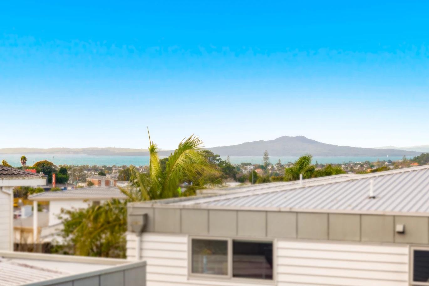 3B Zara Court, Windsor Park, Auckland