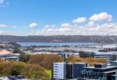 916/135 Hobson Street, City Centre, Auckland