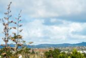 66 Anich Road, Massey, Auckland