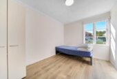 2 Triton Avenue, Mt Albert, Auckland