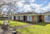 10 x Brick and Tile Units on a single Freehold Title, 28 Landscape Road, Papatoetoe, Auckand