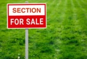 Lot 35/244 Flat Bush School Road, Flat Bush, Auckland
