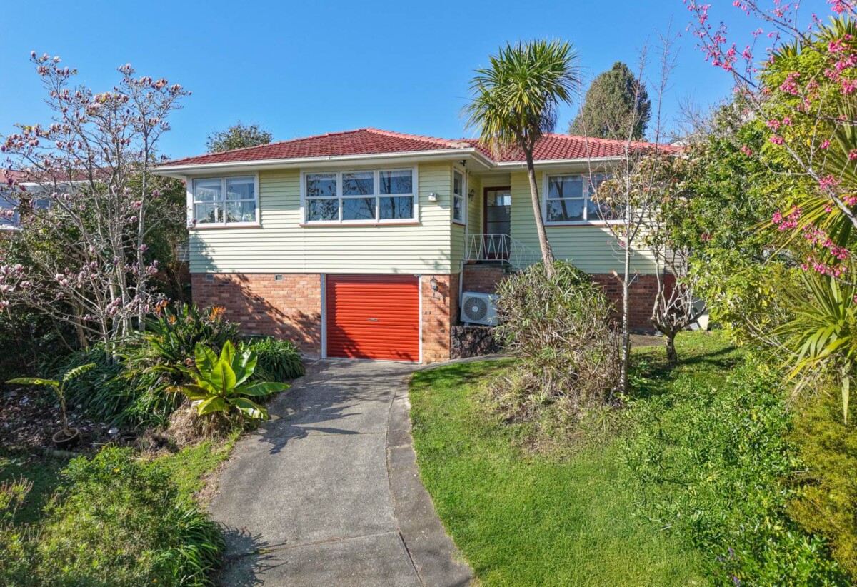 113 Moore Street, Hillcrest, Auckland