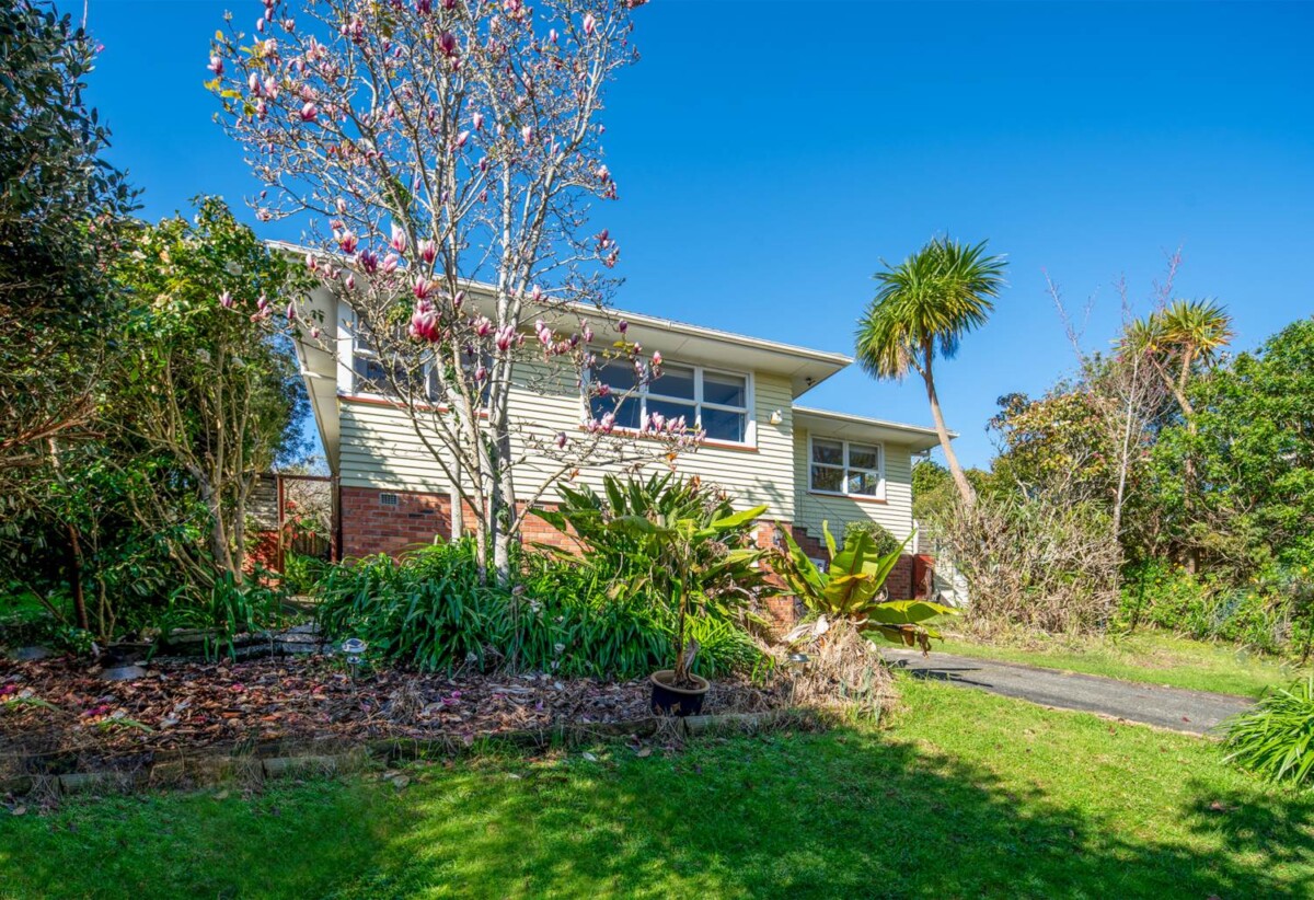 113 Moore Street, Hillcrest, Auckland