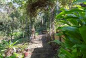 Macleans College, 4 beds 2 baths house with double garage on 1305m2 section, close to beaches, schools, shops, 0.5 km to Mellons Bay School, 1.1 km to Macleans College, 1.4 km to Bucklands Beach Intermediate, 29 Colmar Road, Mellons Bay, Auckland