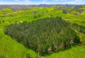 Investment Opportunity – 100Ha of Prime Land, 515 Kahikatea Flat Road, Waitoki, Auckland