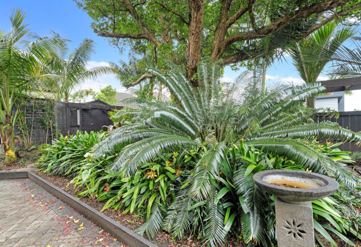 26A Rowan Road, Epsom, Auckland