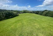 For rent, Fully furnished, $1,600 per week, Luxurious 4 bedrooms 3 bathrooms Modern Country Lifestyle house, 572 Whitford Road, Whitford, Auckland, available now