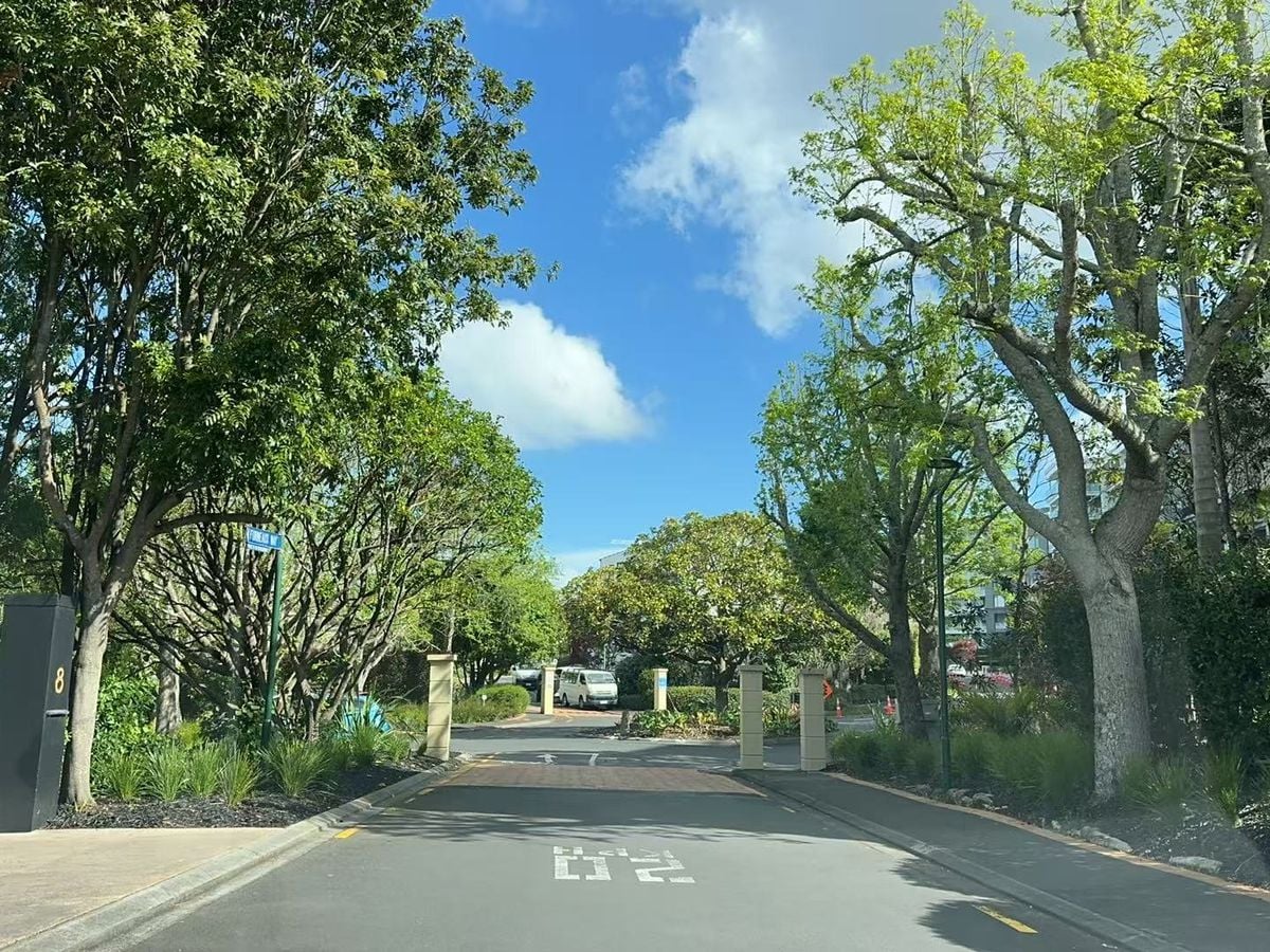 For rent, 3 bedrooms 2 bathrooms 2 car parks, $990 per week, 2F / 5 Furneaux Way, Remuera, Auckland, Available on Tue 21st Oct